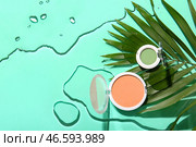 Композиция с корректорами макияжа и листьями пальм на цветном фоне. Стоковое фото, фотограф Pixel_shot / Фотобанк Лори