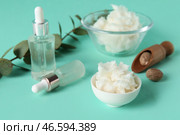 Зелёная веточка, бутылки с косметическими средствами и миски с ши маслом на бирюзовом фоне, крупным планом. Стоковое фото, фотограф Pixel_shot / Фотобанк Лори