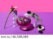 Бокал вкусного коктейля из ежевики с лилией на цветном фоне. Стоковое фото, фотограф Pixel_shot / Фотобанк Лори