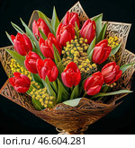 March 8 – International Women's Day. Banner, postcard. Bouquet of bright tulips, spring mimosa. Стоковое AI-изображение, AI-художник Сергей Елизарьев / Фотобанк Лори