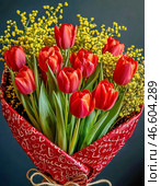 March 8 – International Women's Day. Banner, postcard. Bouquet of bright tulips, spring mimosa. Стоковое AI-изображение, AI-художник Сергей Елизарьев / Фотобанк Лори