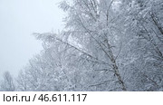 Snow-covered trees floating past a train or car window. Suitable for articles about winter travel, advertising of railway or bus tours related to nature. Winter travel. Snow-white landscape. Стоковое видео, видеограф Евгений Демидюк / Фотобанк Лори