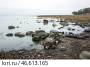 Scenic view of a rocky shore with ducks swimming among the reeds. Стоковое фото, фотограф EugeneSergeev / Фотобанк Лори