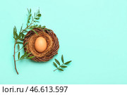 Гнездышко с пасхальным яйцом и зелеными листьями на голубом фоне. Стоковое фото, фотограф Pixel_shot / Фотобанк Лори