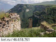 Чеченская Республика. Древнее селение Харкарой в Веденском районе (2020 год). Стоковое фото, фотограф Елена Афонина / ТАСС / Фотобанк Лори