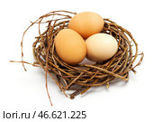 Three chicken eggs in nest on white background, easter concept. Стоковое фото, фотограф Зарифа Арсланова / Фотобанк Лори