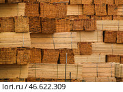 Обрезные доски. Стоковое фото, фотограф Дмитрий Дадонкин / ТАСС / Фотобанк Лори
