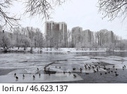 Москва. Многоэтажные жилые дома на Карамышевской набережной и утки на льдинах на Москве-реке (2020 год). Стоковое фото, фотограф Марина Лысцева / ТАСС / Фотобанк Лори