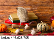 Милый ёжик, грибы, книги и тыква на деревянном фоне. Стоковое фото, фотограф Pixel_shot / Фотобанк Лори