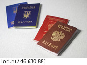 Внутренний и заграничный паспорта граждан Украины и Российской Федерации (слева направо) Стоковое фото, фотограф Александр Река / ТАСС / Фотобанк Лори