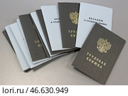 Трудовые книжки и вкладыши в них. Стоковое фото, фотограф Владимир Гердо / ТАСС / Фотобанк Лори