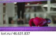 Boxing gloves - young attractive woman in sport clothes jumping over the rope on the background. Стоковое видео, видеограф Константин Шишкин / Фотобанк Лори