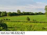 Countryside landscape in June in Russia. Стоковое фото, фотограф Володина Ольга / Фотобанк Лори
