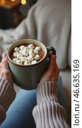 Person holding a mug of hot chocolate with marshmallows in it. Стоковое AI-видео, аниматор Sergey Grishin / Фотобанк Лори