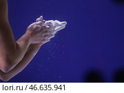 Спортсмен во время нанесения спортивной магнезии на руки. Стоковое фото, фотограф Сергей Фадеичев / ТАСС / Фотобанк Лори