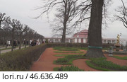 St. Petersburg Russia - May, 09, 2013: Architectural masterpieces of Peterhof: fountains and golden Statues. Guided tour of the Palace and Park ensemble. Редакционное видео, видеограф Андрей Жигальцов / Фотобанк Лори