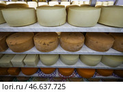 Сырные головы. Стоковое фото, фотограф Алексей Коновалов / ТАСС / Фотобанк Лори
