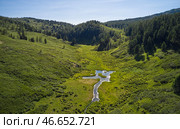 Altai valley of a stream with Dasiphora fruticosa bushes. Slopes are covered with dwarf birch and larch trees. Стоковое фото, фотограф Сергей Пристяжнюк (Serg Zastavkin) / Фотобанк Лори