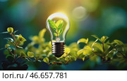 Ecology concept. A young green sprout under the glass protection of a light bulb. Earth Day. Стоковое AI-видео, аниматор Ирина Старикова / Фотобанк Лори