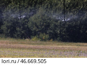 Дождевальная машина на сельскохозяйственном поле. Стоковое фото, фотограф Сергей Елагин/Бизнес Online / ТАСС / Фотобанк Лори