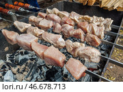 Кусочки мяса на шампурах и угли в мангале. Стоковое фото, фотограф Сергей Булкин/NEWS.ru / ТАСС / Фотобанк Лори