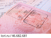 Штампы о пересечении границы в заграничном паспорте гражданина Российской Федерации. Стоковое фото, фотограф Сергей Булкин/NEWS.ru / ТАСС / Фотобанк Лори