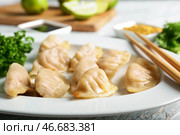 Вкусная японская гёза на тарелке, крупным планом. Стоковое фото, фотограф Pixel_shot / Фотобанк Лори