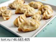 Вкусная японская гёза на тарелке, крупным планом. Стоковое фото, фотограф Pixel_shot / Фотобанк Лори