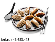 Тарелка с вкусной японской гёдзе на белом фоне. Стоковое фото, фотограф Pixel_shot / Фотобанк Лори