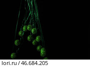 Стробоскопическая фотография движущегося зеленого шара на темном фоне. Стоковое фото, фотограф Pixel_shot / Фотобанк Лори