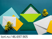 Конверты с пустой открыткой и ветвями цветущих растений на цветном фоне, крупным планом. Стоковое фото, фотограф Pixel_shot / Фотобанк Лори