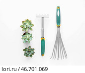 Инструменты для садоводства и суккулентные растения изолированы на белом фоне. Стоковое фото, фотограф Pixel_shot / Фотобанк Лори