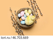 Композиция с гнездом из расписных пасхальных яиц, игрушечным цыпленком и ивовыми ветками на цветном фоне. Стоковое фото, фотограф Pixel_shot / Фотобанк Лори