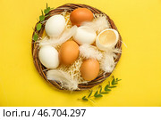 Гнездышко с пасхальными яйцами, перьями и ветками эвкалипта на желтом фоне. Стоковое фото, фотограф Pixel_shot / Фотобанк Лори