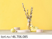 Композиция с подиумом, игрушечным цыпленком, пасхальным яйцом и ивовыми ветками на столе возле цветной стены. Стоковое фото, фотограф Pixel_shot / Фотобанк Лори