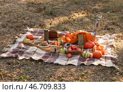 Пикниковая корзина с вкусной едой на пледе в осеннем парке. Стоковое фото, фотограф Pixel_shot / Фотобанк Лори
