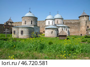 Солнечный летний день в старинной Ивангородской крепости, Ленинградская область (2024 год). Стоковое фото, фотограф Анна Карасева / Фотобанк Лори