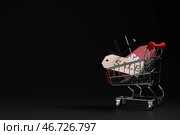 Миниатюрная тележка для покупок с подарочной коробкой и ярлыками на черном фоне. Стоковое фото, фотограф Pixel_shot / Фотобанк Лори