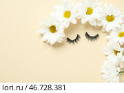Креативная композиция с накладными ресницами и красивыми цветами на цветном фоне. Стоковое фото, фотограф Pixel_shot / Фотобанк Лори