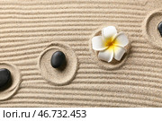 Черные спа-камни и плюмерия на песке с линиями. Концепция дзен. Стоковое фото, фотограф Pixel_shot / Фотобанк Лори