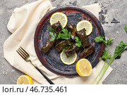 Тарелка с вкусными долмой (фаршированные виноградные листья), ломтиками лимона, петрушкой и салфеткой на фоне в стиле гранж. Стоковое фото, фотограф Pixel_shot / Фотобанк Лори