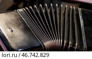 Old musical instrument Russian bayan - button accordion close-up. Стоковое фото, фотограф David Kashakhi / Фотобанк Лори