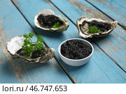 Вкусные устрицы с черной икрой на синем деревянном фоне. Стоковое фото, фотограф Pixel_shot / Фотобанк Лори