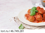 Тарелка вкусных фрикаделек с соусом на светлом фоне. Стоковое фото, фотограф Pixel_shot / Фотобанк Лори