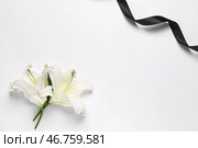 Рамка из красивых лилий с черной траурной лентой на белом фоне. Стоковое фото, фотограф Pixel_shot / Фотобанк Лори