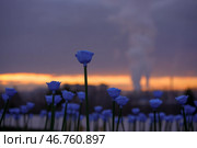 Парк Галицкого. Стоковое фото, фотограф Елена Букия / Фотобанк Лори