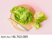 Деревянная доска с свежим бостонским салатом на розовом фоне. Стоковое фото, фотограф Pixel_shot / Фотобанк Лори