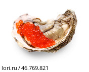 Вкусные устрицы с красной икрой на белом фоне. Стоковое фото, фотограф Pixel_shot / Фотобанк Лори