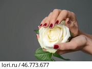 Руки молодой женщины с красивым маникюрным холдингом поднялись на цветном фоне. Стоковое фото, фотограф Pixel_shot / Фотобанк Лори