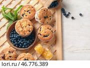 Вкусные черничные маффины со свежими ягодами и медом на столе. Стоковое фото, фотограф Pixel_shot / Фотобанк Лори